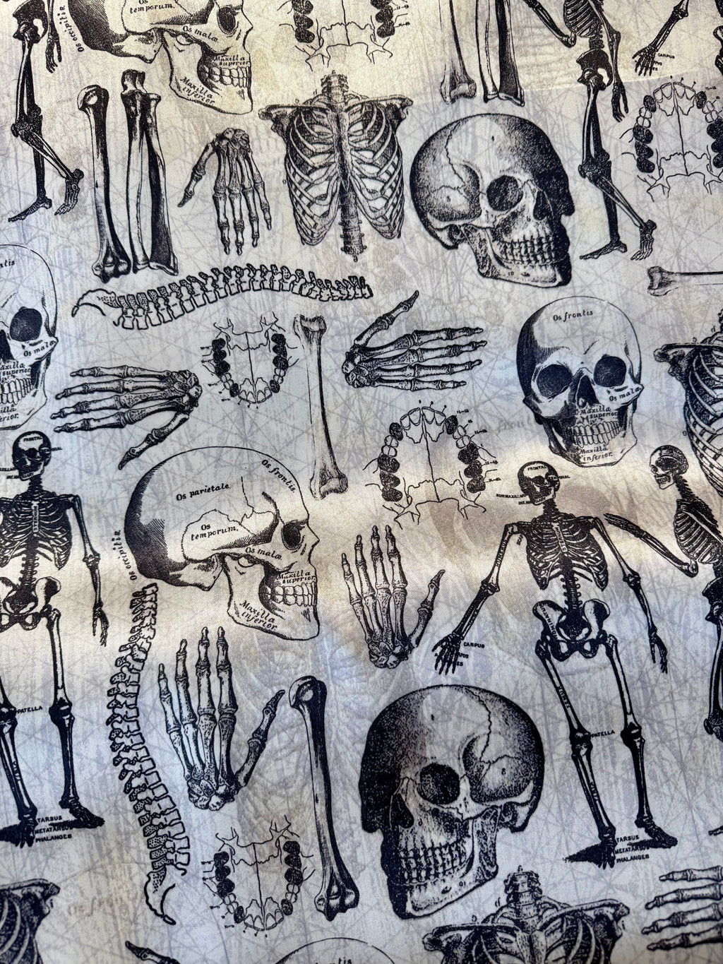 XL scrunchie - Skull and Bones